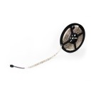 5050-60 低壓 RGB彩色 LED燈帶 5米