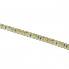 5050-60 高壓 正白單色 防水 LED燈帶（每英呎）