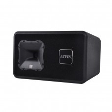 AIVIN PS10A 10寸 專業音箱 (300-450W)