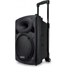 GDHD SK-10 10寸 藍牙/FM/SD卡/AUX/USB便攜式音箱